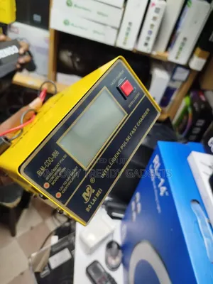 Bolaimei 12/24v Intelligent Battery Charger/Maintainer