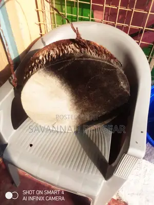 African Drum Akorino Original Goat Cow Skin Drum - Large