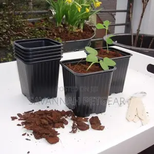 Plastic Reusable Propagation Flower Pots 300ml, Pack of 10