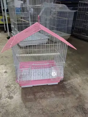 Bird Cages