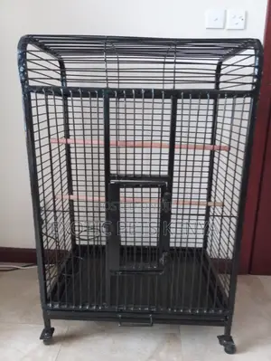 Cockatiel Cage