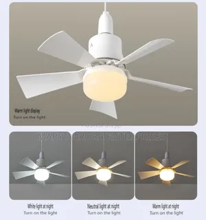 Led Ceiling Lights With Fan