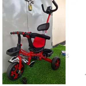 Tricycle Small