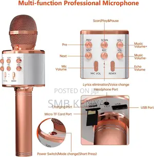 Rechargeable Handheld Karaoke Microphone Speaker