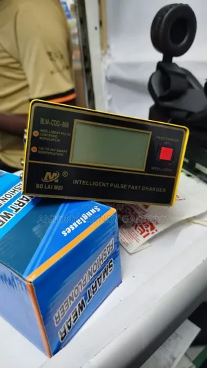 Automotive Battery Charger Bolaimei Blm-866 12v/24v Car