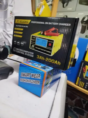 Automotive Blm 866 Battery Charger