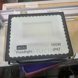 100w Mini Floodlight