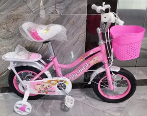 Pink Lady Bird Size 12 Bike for Kids