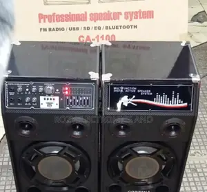 Double Speaker