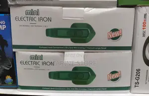 Mini Electronic Iron, Dry and Wet Ironing