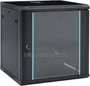 12u Indoor Data Cabinet 600 by 600
