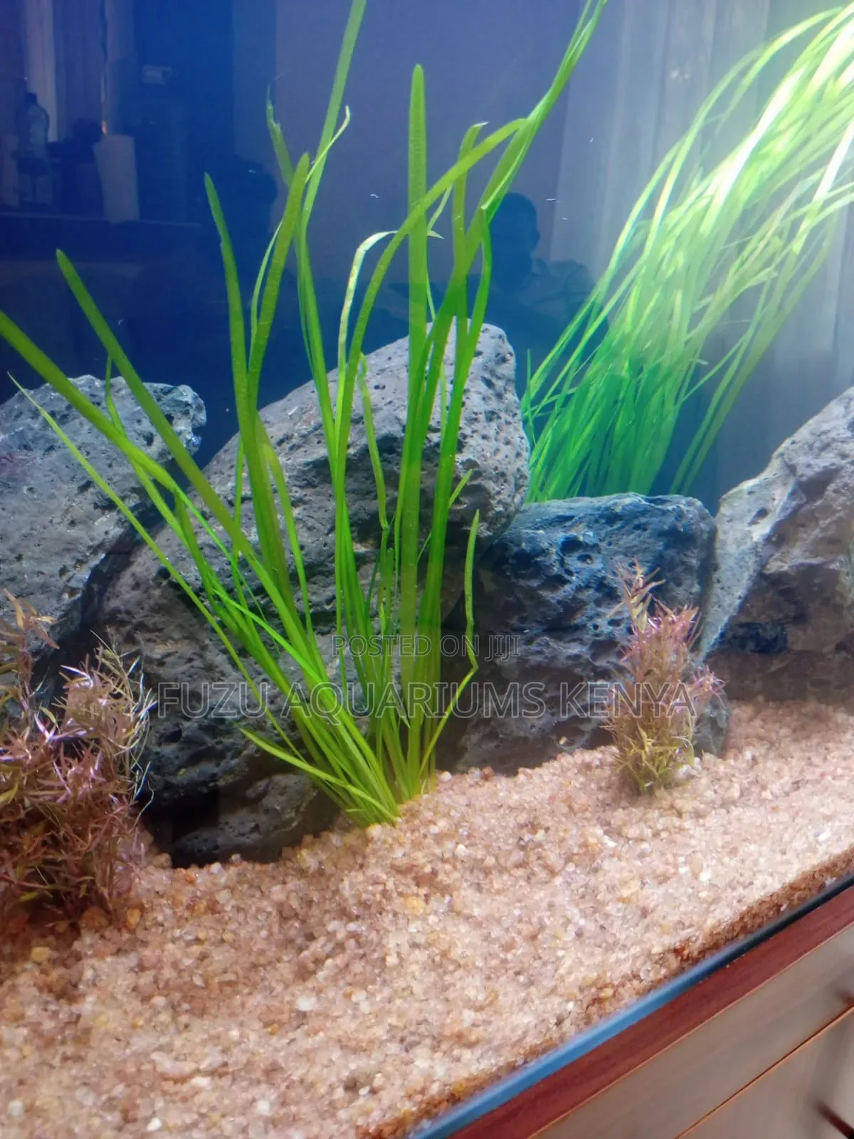 Aquarium Brown Substrate - Gravel