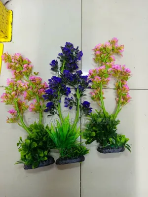 Long Sturdy Aquarium Plants