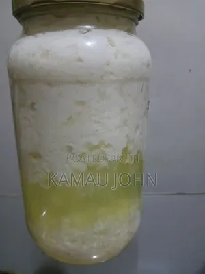 Kefir Grain