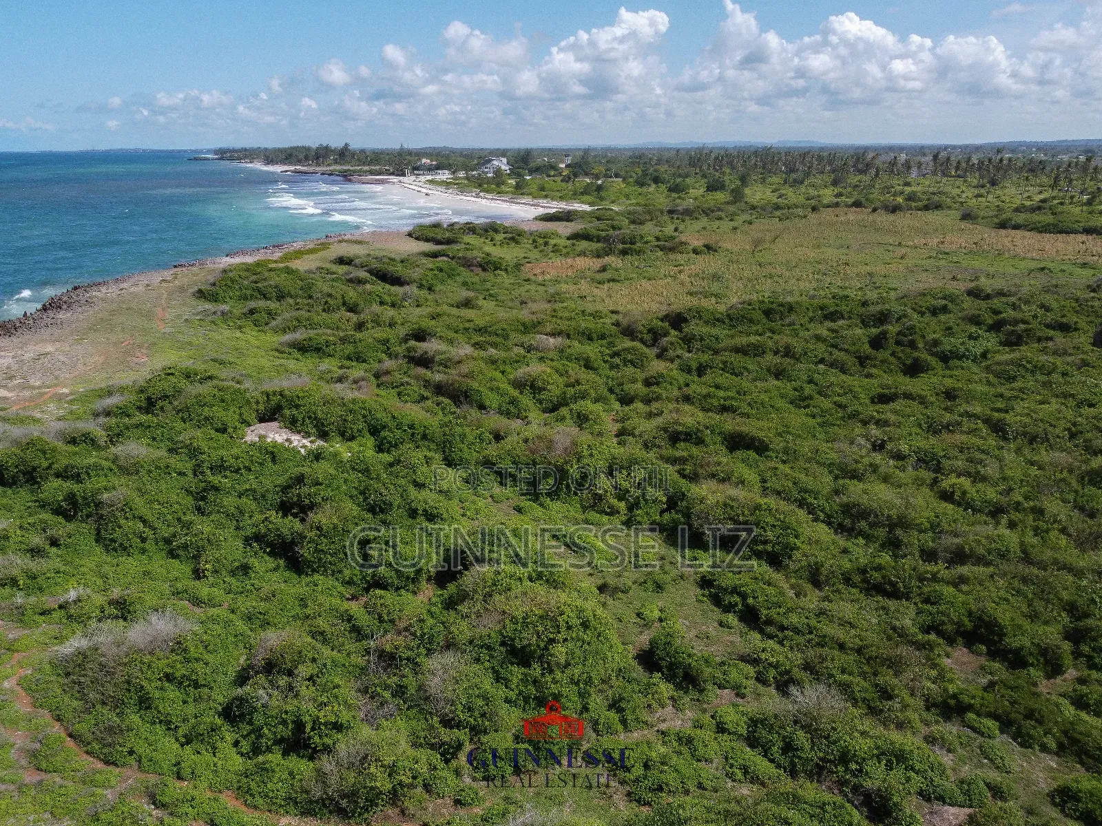 Bofa 1/2 Acre Plot