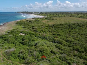 Bofa 1/2 Acre Plot