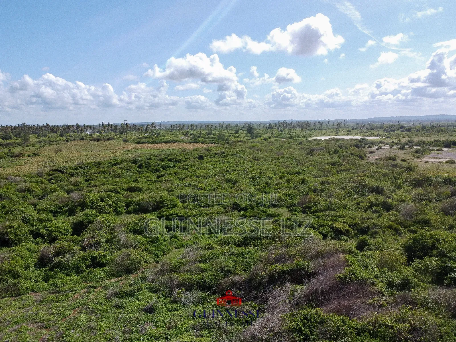 Bofa 1/2 Acre Plot