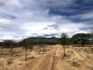 5 Acres of Land for Sale