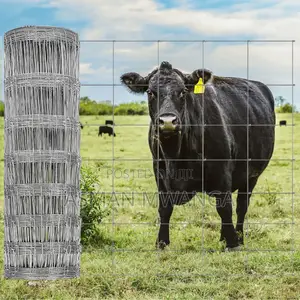 Grassland Fence