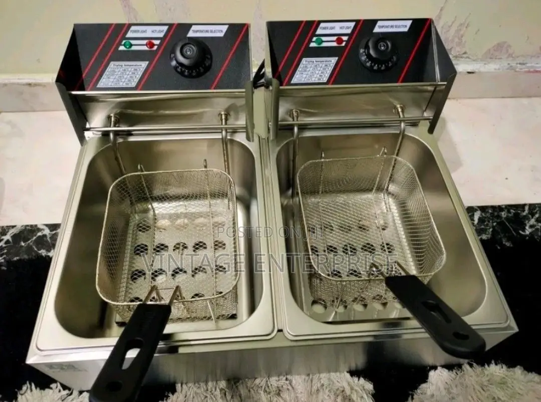 Electric Double Deep Fryer