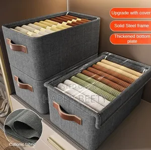 Collapsible Closet Organizer With a Cover