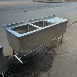Stainless Steel Double Sink