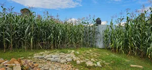 1⁄4 Plot for Sale in Illula Eldoret City