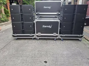 Sandy 12 Inch Line Array Set