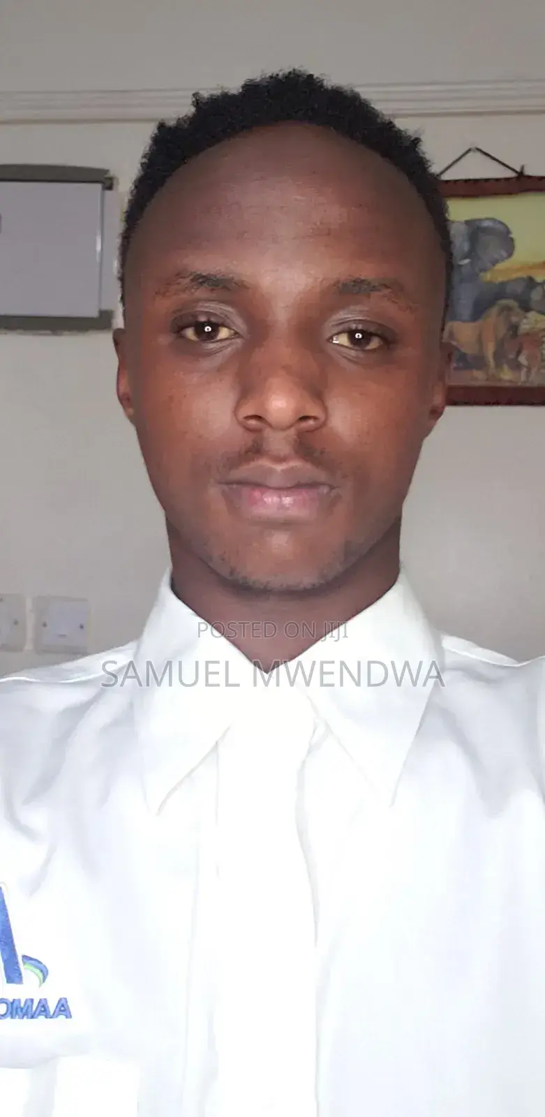 Sales Representative