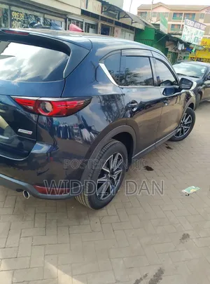 Car Tinting