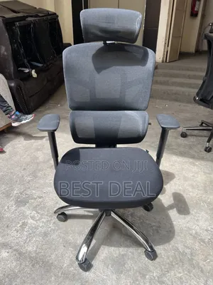 Ergonomics Orthopedic Chair