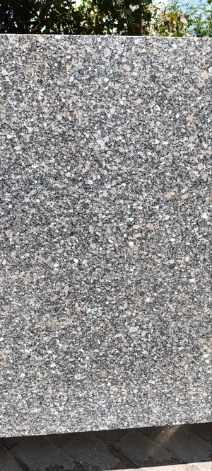 Gyandolla Island Granite(8ft * 2.9ft * 18mm)