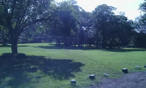 Photoshoot and Event Venue! 