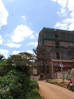 Kiamumbi Pime 100*100, Title