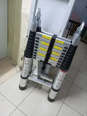 Telescopic Folding Ladder