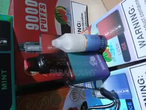 Blueberry Mint. Refillable Vape