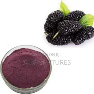 Mulberry Extract Powder