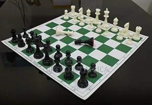 Roll Up Chess Mat With a Case Tube