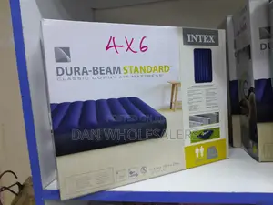 4 by 6 Inflatable Mattress
