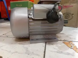 Lexi Italy Agricultural Motor 2hp