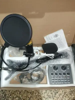 Condenser Mic for Podcast /Studio Recording With Suspension