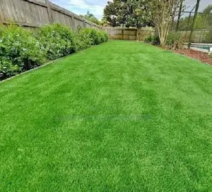 Vibrant Artificial Grass Carpet