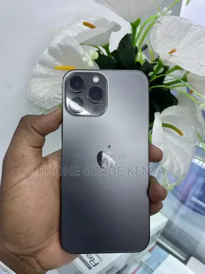 Apple iPhone 13 Pro Max 256 GB Black