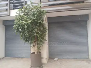 Roller Shuttle Doors on Sale