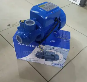 Water Pump 0.5hp 40m Head Electric