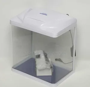 Small Aquarium Curves Face