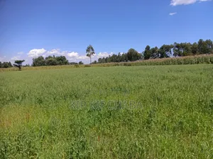 40 Acres Primeland for Sake in Merewet Eldoret