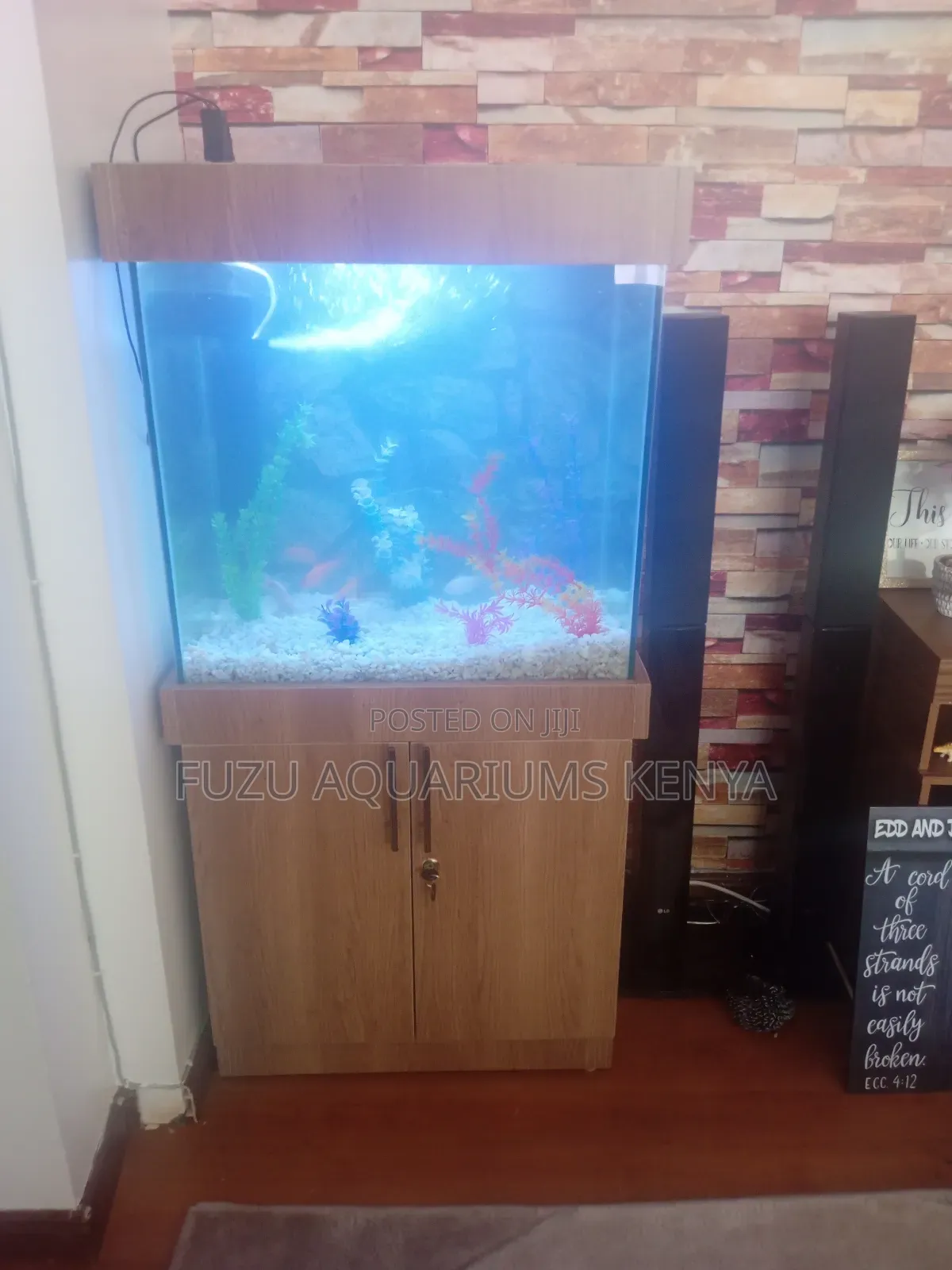 Aquarium With Cabinet and 10 Fish