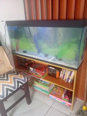 1metres Aquarium
