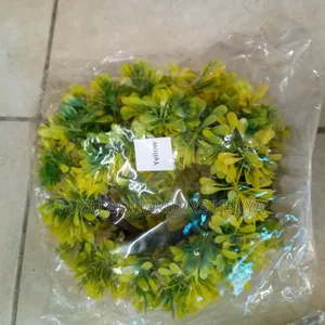Aquariums Round Plants - ( Cave-Like )